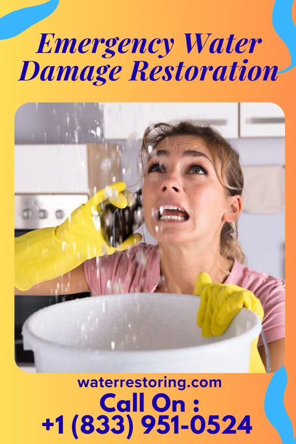 Emergency Water Damage Restoration in Westdale, TX